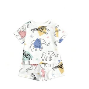 Catpapa Catpapa Boys' Multicolore Cotton Blend 2-Piece Set - Top & Shorts, 6-9M to 2-3Y